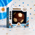 Pelota Mundial - Edición Especial - 350g